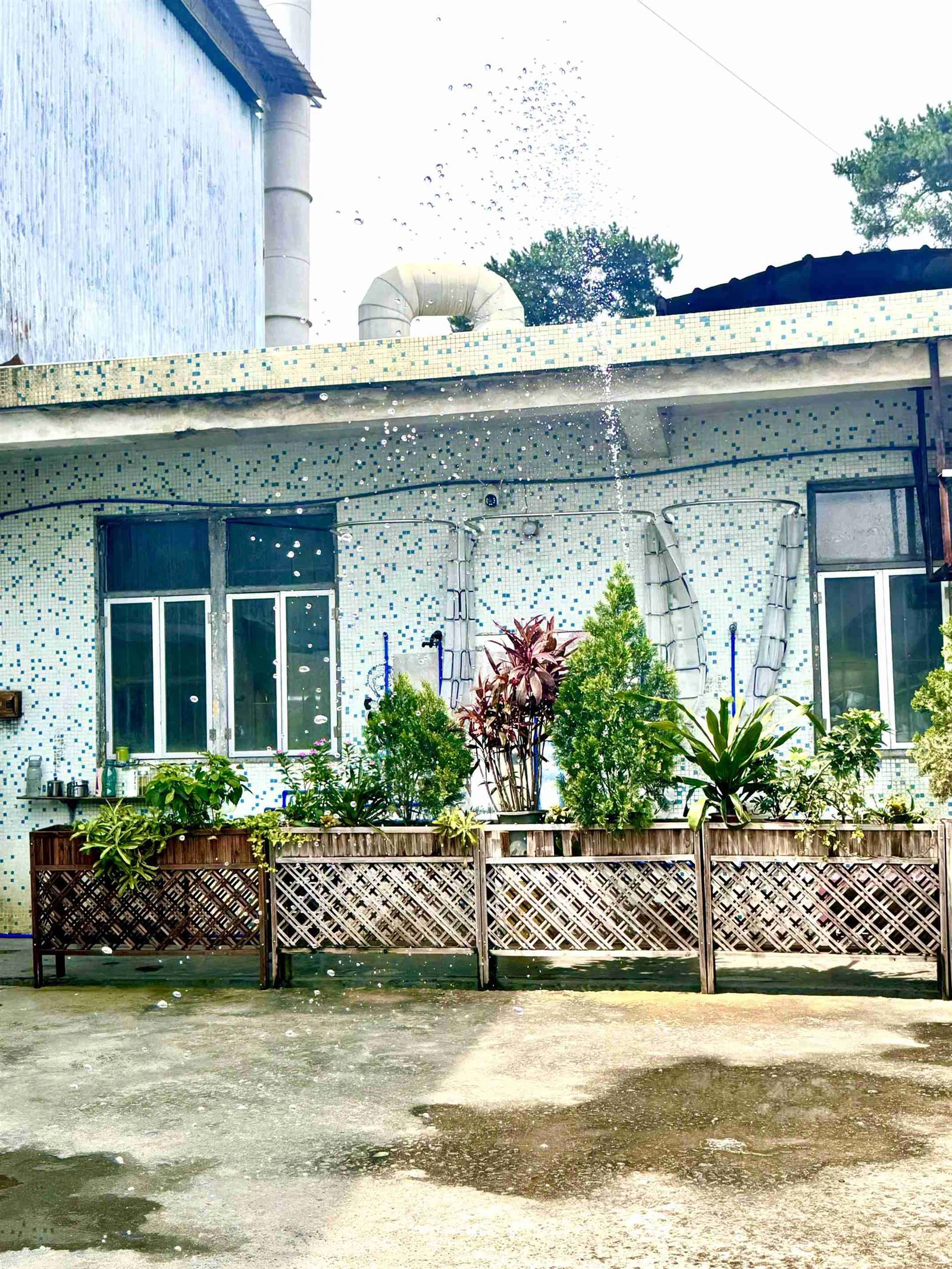 23d76cc3b0d57265f4a17d8166dbcea