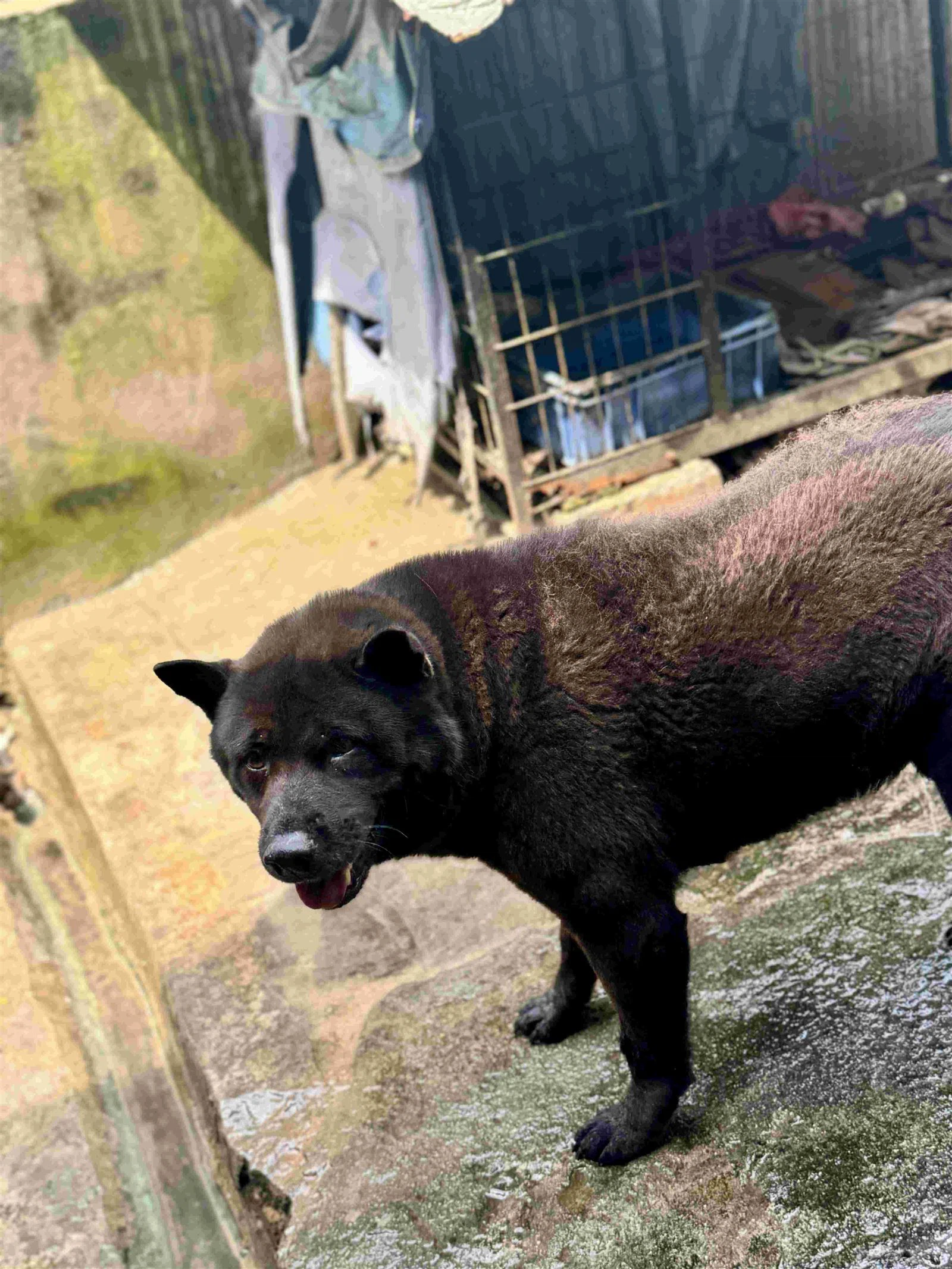 8021d9b40306f9dd3da206d65499a2f